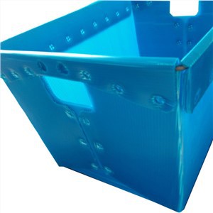 Coroplast pasta banknotes