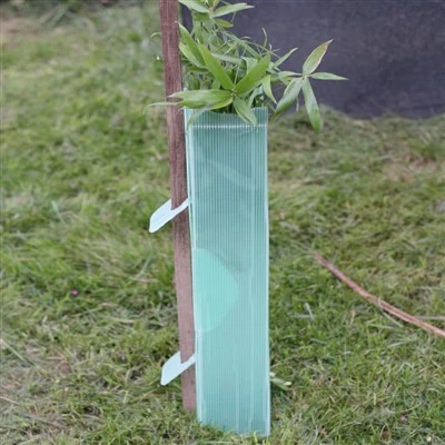 Green Coroplast plastmasas koku aizsargi